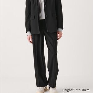 Uniqlo Pleated Wide Leg Pants